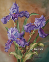 Bonheur d'un jour - Oh Happy Day ! (iris)