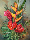 Comme dans les tableaux du Douanier Rousseau - anthurium, heliconia, gingembre